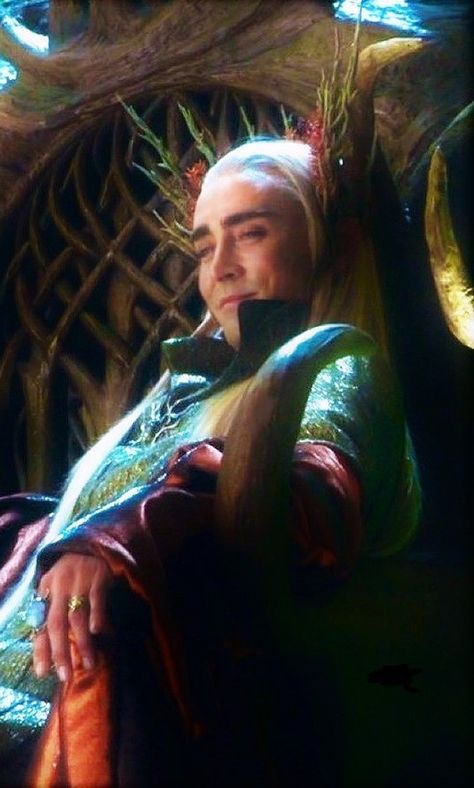 The Hobbit Thranduil, Lee Pace Thranduil, Lotr Elves, Legolas And Thranduil, The Hobbit Movies, Lee Pace, Luke Evans, Thranduil, Legolas