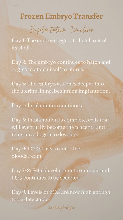 Frozen embryo transfer timeline, day 5 transfer, IVF transfer. Frozen Embryo Transfer Timeline, Fet Ivf, Ivf Timeline, Ivf Preparation, Embryo Implantation, Ivf Diet, Pregnancy Preparation, Frozen Embryo Transfer, Embryo Adoption