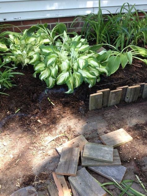 Cheap Garden Beds, Garden Border Ideas, Flower Bed Borders, Garden Edging Ideas, Border Ideas, Garden Border, Edging Ideas, Landscape Edging, Lawn Edging