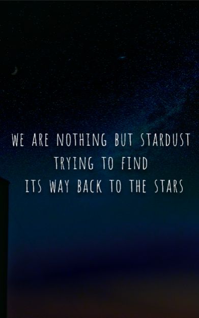 //we are nothing but stardust// We Are Stardust Quotes, We Are All Made Of Stardust, Written In The Stars Quotes, Stardust Aesthetic, Stardust Quotes, Cosmos Quotes, We Are Made Of Stardust, Author Inspiration, Star Love Quotes