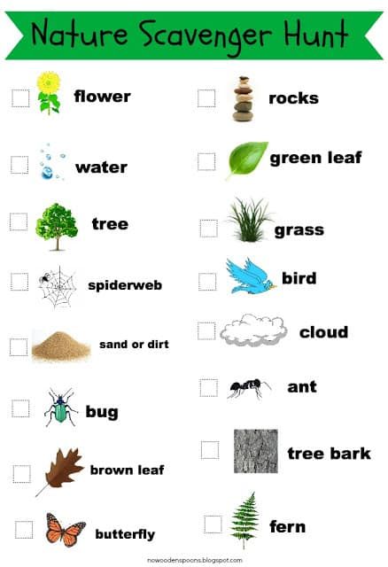 20+ Nature Scavenger Hunt Ideas Nature Walk Scavenger Hunt, Scavenger Hunt List, Nature Scavenger Hunt, Gratis Printables, Photo Scavenger Hunt, Free Nature, Scavenger Hunt For Kids, Earth Day Activities, Theme Nature