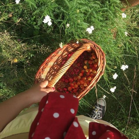 Cottage Aesthetic, Cottage Core Aesthetic, Strawberry Fields, Cottagecore Aesthetic, Spring Aesthetic, + Core + Aesthetic, Spring Vibes, Red Aesthetic, On The Ground