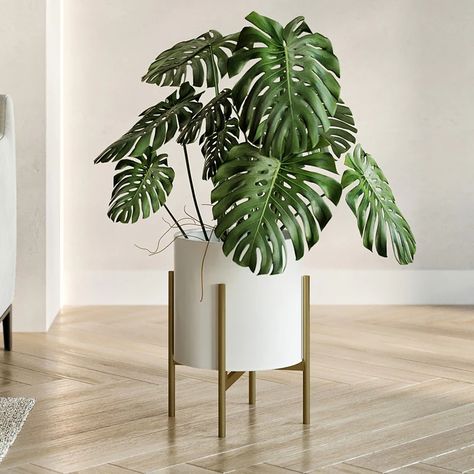 Raya White Mid-Century Modern Planter with 4-Leg Metal Base - On Sale - Bed Bath & Beyond - 37521227 Mid Century Modern Planter, Mid Century Plants, Midcentury Modern Style, Modern Planter, Hanger Stand, Planter Design, White Planters, Modern Planters, Mid Century Modern Style