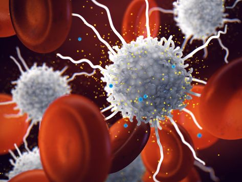 New research identifies key target in relationship between white blood cells, inflammation  | UIC today Macrophage Cells, White Blood Cell, In Relationship, White Blood, White Blood Cells, Blood Cells, The Body, Biology, Target