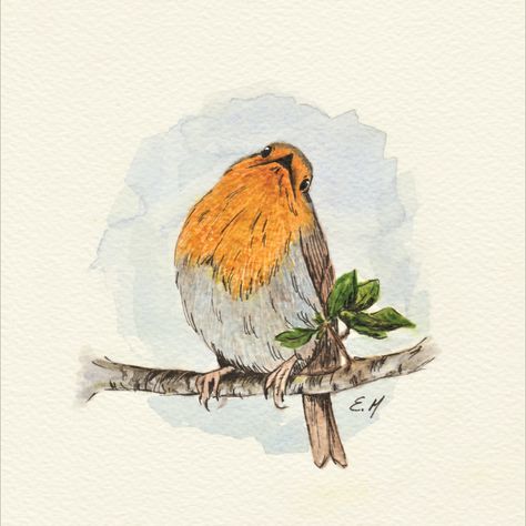 Line And Wash Animals, Robin Bird Painting, Line And Wash Watercolor, Watercolor Robin, Line And Wash, Watercolour Wash, Pen And Wash, Robin Bird, Chicken Art