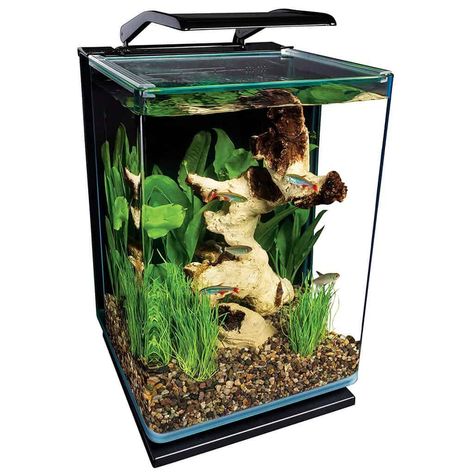 MarineLand Potrait Glass LED Aquarium Kit Modern Aquarium, 5 Gallon Aquarium, Desktop Aquarium, Cool Fish Tanks, Betta Aquarium, Aquarium Pump, Led Aquarium, Glass Aquarium, Aquarium Setup