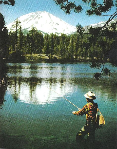 Vintage Fly Fishing Vintage Fly Fishing, Fall Fishing, Fishing Photos, Fly Fishing Tips, Fishing Pictures, Fly Fisherman, Fishing Pole, Gone Fishing, Fish Camp