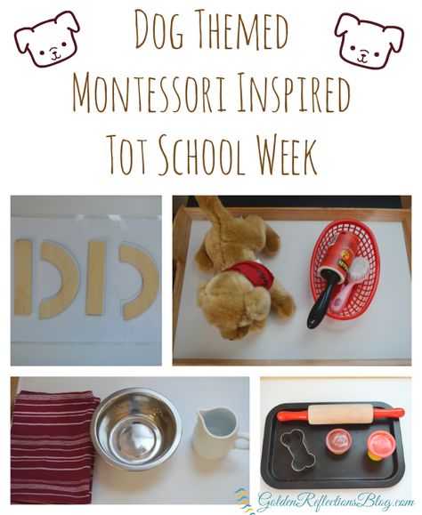 4 fun activities for a dog themed montessori inspired tot school week at home. www.GoldenReflectionsBlog.com Pets Preschool Theme, School Week, Montessori Ideas, Up Dog, Tot School, Preschool Themes, Preschool Theme, Montessori Toddler, Dog Activities