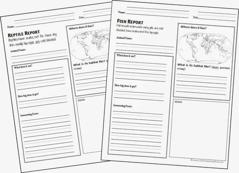 Simple Kindergarten, 1st Grade, 2nd Grade Animal Report Forms Animal Report Template, Animal Classification Worksheet, Report Writing Template, 123 Homeschool 4 Me, Animal Report, School Report Card, Homeschool Middle School, Animals Information, Animal Classification