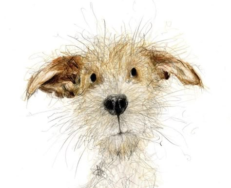 Catherine Rayner, Dog Caricature, Scruffy Dogs, Dog Portraits Art, Animal Illustration Art, Scribble Art, People Smile, 강아지 그림, Daily Drawing