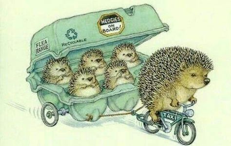 Hedgies in Board 동화 삽화, Art Mignon, Art Et Illustration, Art And Illustration, E Card, Hedgehogs, Beatrix Potter, Childrens Illustrations, Children's Book Illustration