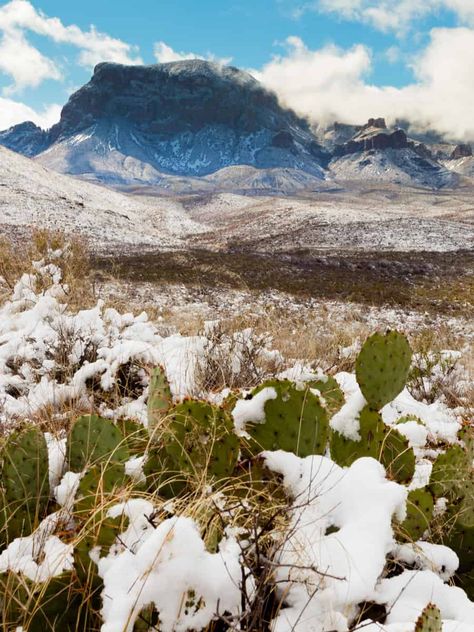 Winter in Big Bend National Park: Snowy Chisos Mountains Chihuahuan Desert, Guadalupe Peak, Chisos Mountains, Horseback Riding Trails, Congaree National Park, Biscayne National Park, Pinnacles National Park, Guadalupe Mountains National Park, Guadalupe Mountains