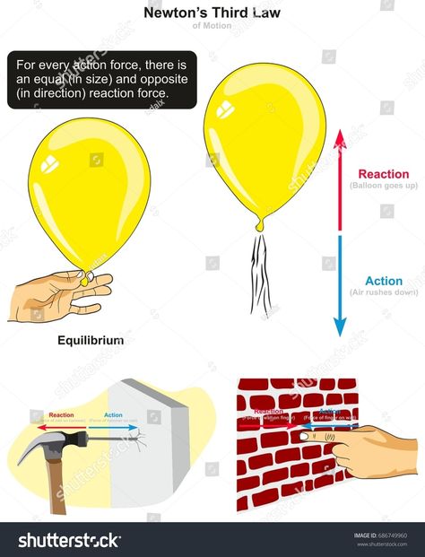 Newtons Third Law Of Motion, Newton's Third Law, Newtons Laws Of Motion, Laws Of Motion, Physics Classroom, Newtons Laws, Potential Energy, Force And Motion, Elementary Reading