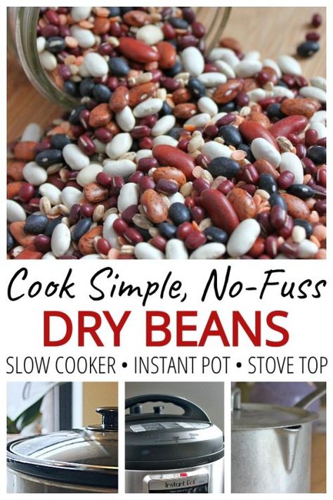 Learn to Cook Dry Beans: 3 Ways • Cheapskate Cook Quick Soak Beans, Cook Dry Beans, Bean Patties, Dry Beans Recipe, Budget Meal Ideas, Beans From Scratch, Cook Beans, Curry Vegetarian, Recipes Beans