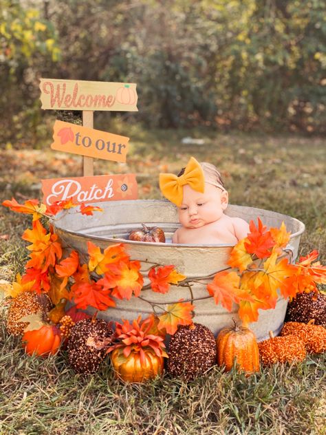 Outdoor Fall 1st Birthday Pictures, First Birthday Pictures Fall, Half Birthday Fall Theme, 3 Month Old Fall Pictures, 1 Month Old Fall Baby Pictures, 100 Foods Before 1 Photoshoot, 1 Year Fall Baby Pictures, First Birthday Fall Photoshoot, September Baby Photo Ideas