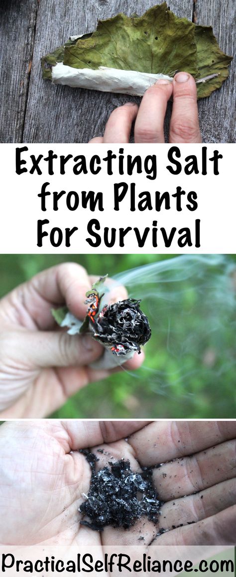 Every Camping Snacks, Emergency Preparation, Survival Life Hacks, Survival Techniques, Prepper Survival, Homestead Survival, Survival Life, Emergency Prepping, Survival Food