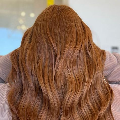 Jahday Munoz✨ on Instagram: "Honey Copper😍  •  Dm me to book! Limited spots available ♥️  •  #copperhair #redhair #hair #balayage #copper #haircolor #copperhaircolor #redhead #behindthechair #copperbalayage #hairgoals #hairstyle #haircut #gingerhair #olaplex #hairinspo #hairstyles #hairstylist #modernsalon #longhair #hairtransformation #blondehair #orangehair #hairdresser #ginger #fallhair #highlights #instahair #beforeandafter #haircolour" Honey Copper Hair Color, Light Ginger Brown Hair, Honey Ginger Hair Color, Honey Copper Hair, Golden Copper Hair, Balayage Copper, Healthy Vibes, Brown Hair Looks, Ginger Hair Color