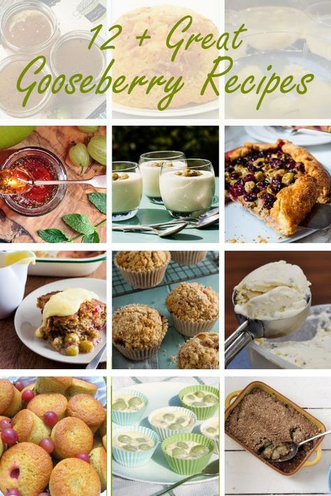 Gooseberry Recipes Healthy, Gooseberry Jelly, Gooseberry Tart, Gooseberry Jam, Gooseberry Recipes, Recipes Fruit, Written Recipes, Produce Recipes, Seasonal Produce