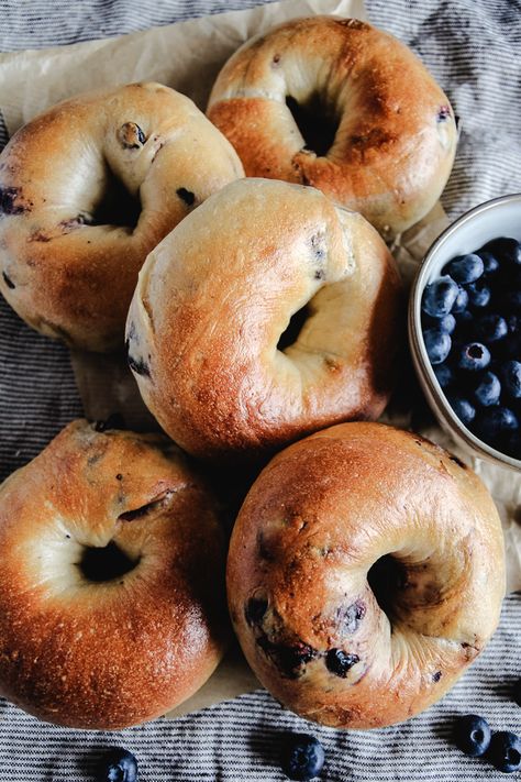 Sourdough Blueberry Bagels - Aberle Home Plain Sourdough Bagels, Sourdough Bagels Blueberry, Bagel Recipe Blueberry, Sourdough Discard Blueberry Bagels, Sourdough Bialy Recipe, Cranberry Bagels Recipe, Homemade Blueberry Bagels, Sourdough Beagles, Blueberry Sourdough Bagels