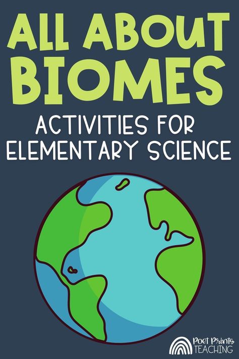 There is so much to know about the biomes of the world! Before you plan your biomes unit, take a peek at the best whole-class games, videos, and hands-on activities that will make your biomes lesson plan fun and educational! These biomes lessons for kids are perfect for 3rd-6th grade! Ecosystem For Kindergarten, 3rd Grade Steam Activities, Biome Science Project, Biome Activities For Kids, Biome Projects For Kids, Ecosystem Activities For Kids, Biome Activities, Biome Project Ideas, Teaching Biomes