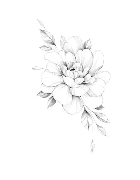 Peony Tattoo With Words, Peony Tattoo Spine, Peony Tattoo Behind Ear, Tiny Peony Tattoo Simple, Peony Pencil Drawing, Peony Vine Tattoo, Peony And Daffodil Tattoo, Peony Birth Flower Tattoo, Fineline Peony Tattoo