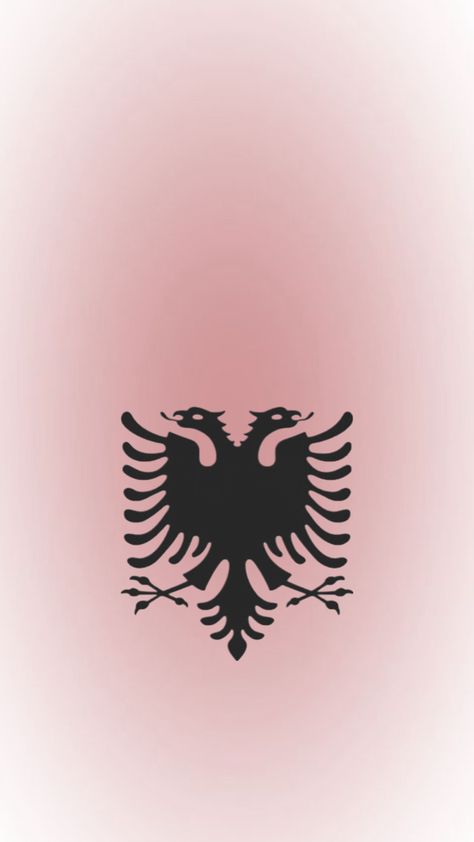 #shqip Kosovo Flag, Albanian Flag, Albanian Culture, Airplane Wallpaper, Future Wallpaper, Beautiful Cross Stitch Pattern, Art Jokes, Iphone Wallpaper Themes, Doodle Art Designs