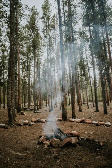 Brandon Aesthetic, Brandon Core, Forest Core, Nice Pictures, Mountain Top, Dark Forest, Pretty Places, Interesting Art, Tree Branches