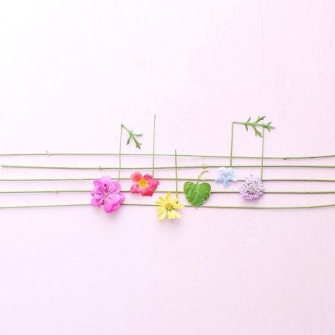 Wallpapers Rosa, Flower Petal Art, Music Flower, Moon Pictures, Pressed Flower Art, Choose Joy, Musical Notes, Live Colorfully, Little Garden