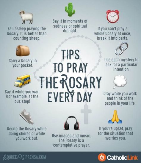 Infographic: Tips To Pray The Rosary Every Day | Catholic-Link Praying The Rosary Catholic, Rosary Prayers Catholic, Saying The Rosary, Pray The Rosary, Catholic Beliefs, Soli Deo Gloria, How To Pray, Rosary Prayer, Praying The Rosary