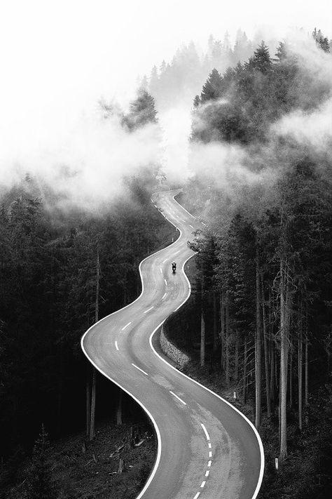 Enjoy Your Vacation, Winding Road, Back Road, Road Trip Usa, Wanderlust Travel, Ubud, Travel Book, Amazing Nature, White Photography