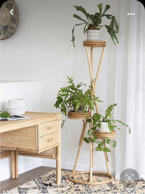 3 Tier Plant Stand, Plant Stand Ideas, Tier Plant Stand, Bamboo Decor, Stand Ideas, Space Style, Plant Decor Indoor, Cozy Room Decor, House Plants Decor