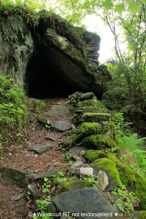 Step into the magickal cave if you dare #abandoned #abandonedspaces #building #rtitbot #robloxdev #art #rtArtBoost #RYUJIN #urbexphotography #grimelords #urbex Forest Cave, Gnome Village, Cave Entrance, Fantasy Forest, Warrior Cat, Environment Concept Art, Warrior Cats, Nature Aesthetic, Enchanted Forest