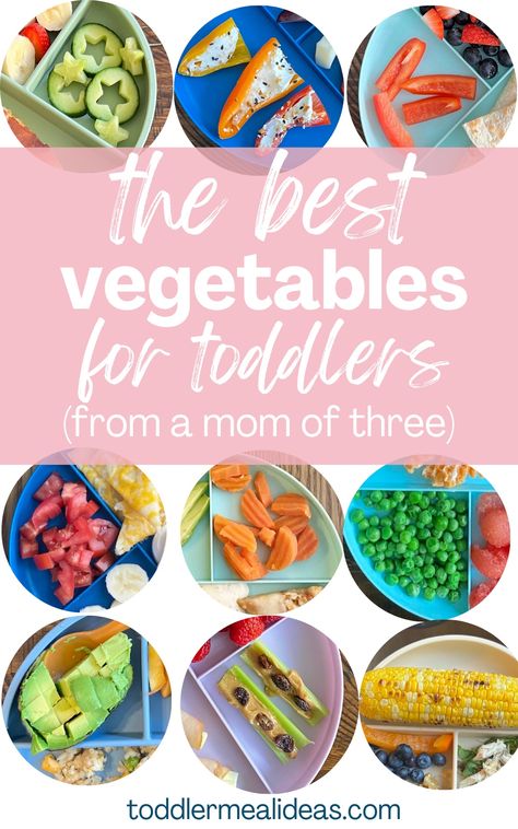 One Year Old Veggie Ideas, Vegetables For One Year Old, Veggies For One Year Old, Fun Veggies For Kids, Toddler Vegetable Recipes, Vegetable Ideas For Kids, Toddler Vegetable Ideas, Toddler Veggie Recipes, Toddler Meals With Veggies