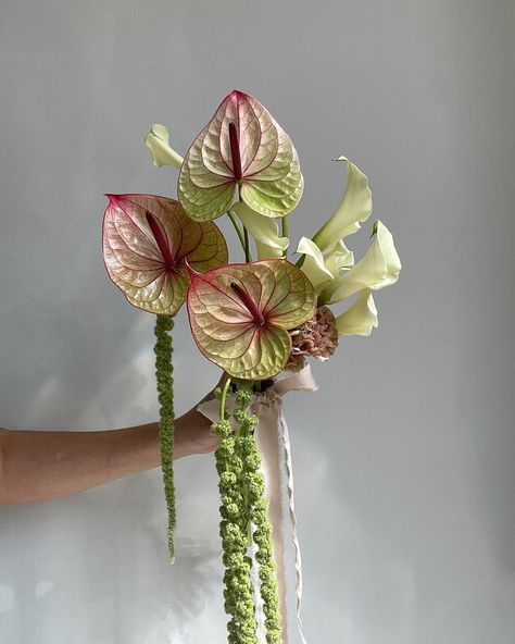 LOLA ROOTS | soft girly pop bouquet 🪷 | Instagram Color Blocked Wedding Flowers, Funky Flower Bouquet, Hanging Flowers Bouquet, Two Flower Bouquet, Interesting Bouquets, Trendy Flower Bouquets, Earthy Bridal Bouquet, Unconventional Wedding Bouquets, Anthurium Flower Bouquet