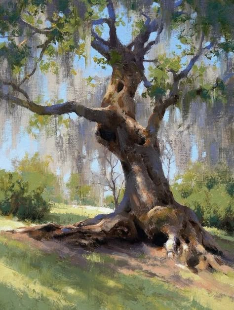 Southern Live Oak, Red Piano, Piano Art, Landscape Art Painting, Live Oak, Plein Air Paintings, Charcoal Drawing, Jolie Photo, Landscape Trees