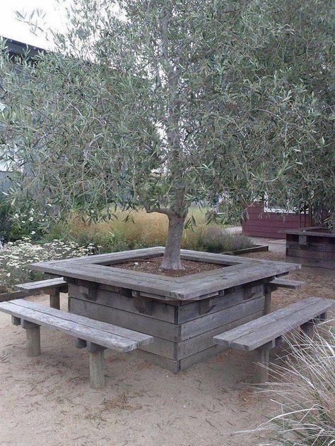 Boom Bank, Bench Around Trees, Tree Seat, Landscaping Around Trees, Tree Bench, Coastal Theme, Point Reyes, Picnic Tables, Garden Cafe