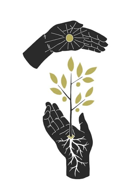 Scott Erickson Art, Roots Graphic Design, Scott Erickson, Plant Illustration Art, Roots Illustration, Roots Drawing, Advent Art, Roots Tattoo, Roots Design