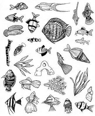 Fish Tank Drawing Aquarium, Aquarium Tattoo Ideas, Fish Tank Tattoo, Sea Fish Tattoo, Small Fish Drawing, Aquarium Sketch, Aquarium Tattoo, Ocean Fish Tattoo, Small Fish Tattoo