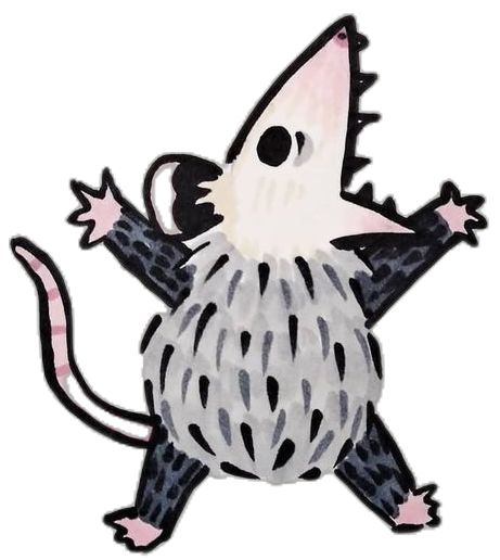 Cute Opposum Tattoo, Screaming Opossum Drawing, Possum Drawing Cute, Possum Cartoon Drawing, Opposum Doodle, Opossum Doodle, Opossum Pfp, Possum Tattoo Simple, Possum Doodle