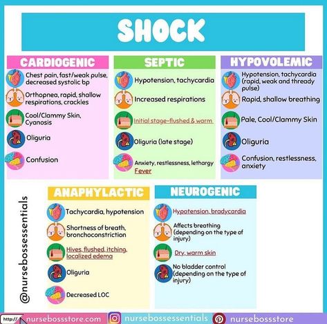 Nurse Vicky | RN, MN, PhDN(c) (@nursebossessentials) posted on Instagram • Jul 3, 2022 at 8:14pm UTC Nursing Review Study Guides, Emr Study Guide, Et Tube Nursing, Nursing Nclex Study, Nclex Study Aesthetic, Nclex Prep Study Guides, Nclex Pharmacology Study Guides, Paramedic Study Guide, Nclex Lpn Study Guide