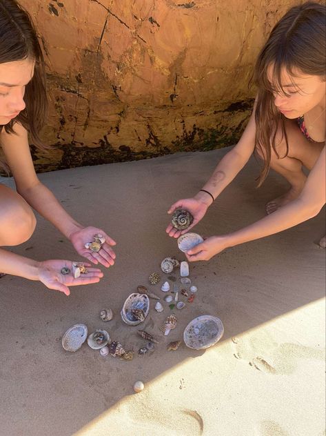 Aesthetic and pretty shells by the beach Seashell Collection, Beachy Shell For Summer, Collecting Shells Aesthetic, Seashell Beach Aesthetic, Collecting Shells On The Beach, Collecting Seashells Aesthetic, Multicolor Vacation Shell-shaped Shell, Shell Collection, Beach Picnic