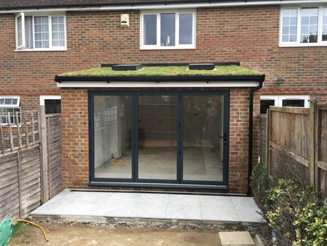 Rear Extension Ideas, Flat Roof Skylights, Small House Extensions, Flat Roof Design, Sedum Roof, Flat Roof Extension, Contemporary Garden Rooms, Roof Skylight, Grass Roof