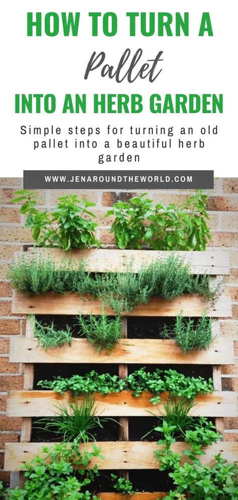 How to Turn a Pallet into an Herb Garden - Jen Around the World Herbs Growing, Herb Garden Pallet, Pallet Projects Garden, Bathroom Organizers, Outdoor Herb Garden, Diy Herb Garden, Vertical Herb Garden, Plants Growing, Herb Planters