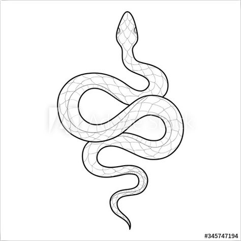 Rattlesnake Tattoo, Snake Outline, Snake And Dagger Tattoo, Reputation Snake, Wilderness Tattoo, Snake Sketch, Small Snake Tattoo, Tattoo Snake, Henna Drawings