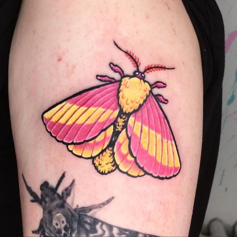 Rose Maple Moth Tattoo, Moth Tattoo Cute, Colorful Bug Tattoo, Cute Insect Tattoos, Fluffy Moth Tattoo, Pink Moth Tattoo, Cool Bug Tattoos, Color Animal Tattoo, Cute Moth Tattoo