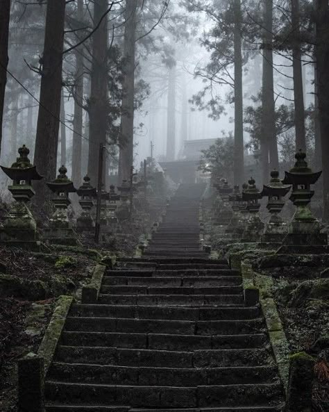 Dark Forest Aesthetic, Japanese Village, Ancient Japan, Dark Fairytale, Dark Spirit, Chinese Aesthetic, The Last Kingdom, Go To Japan, Japan Aesthetic