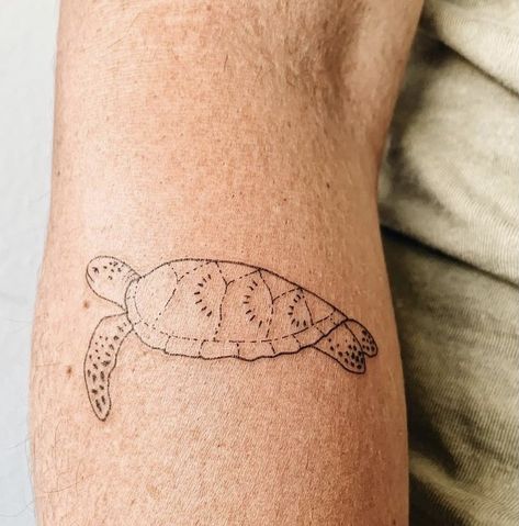 Sea Creatures Tattoo, Fine Line Turtle Tattoo, 2024 Manifesting, Beachy Tattoos, Hawaii Tattoos, Ocean Tattoo, Dove Tattoos, Cute Tats, Shark Tattoo