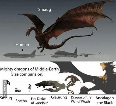 Dragons Of Middle Earth, Ancalagon The Black, Smaug Hobbit, Types Of Dragons, Legendary Dragons, Big Dragon, Dnd Funny, Monster Concept Art, Dragon Artwork