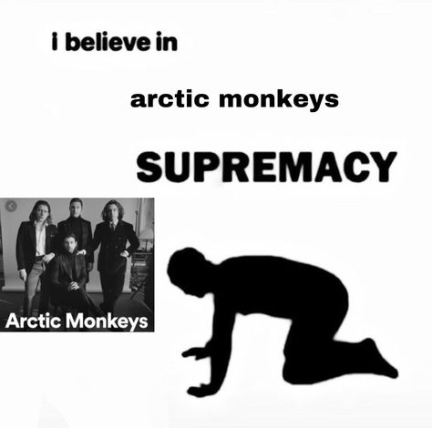 The Bad Thing Arctic Monkeys, Monkey Memes, The Last Shadow Puppets, Monkey 3, Last Shadow, Song Recommendations, Artic Monkeys, Shadow Puppets, Alex Turner