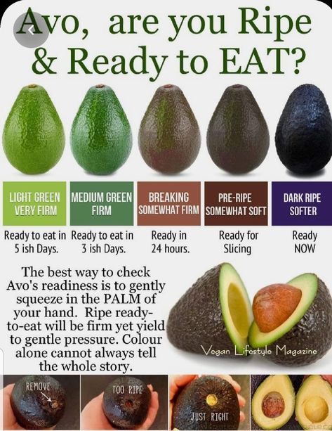 Avocado Health Benefits, Eating Light, Food Info, Cooking Basics, Avocado Recipes, Food Facts, Fruits And Veggies, Health And Nutrition, No Cook Meals